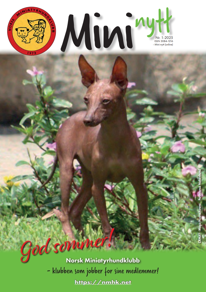Mininytt nr. 1 – 2025