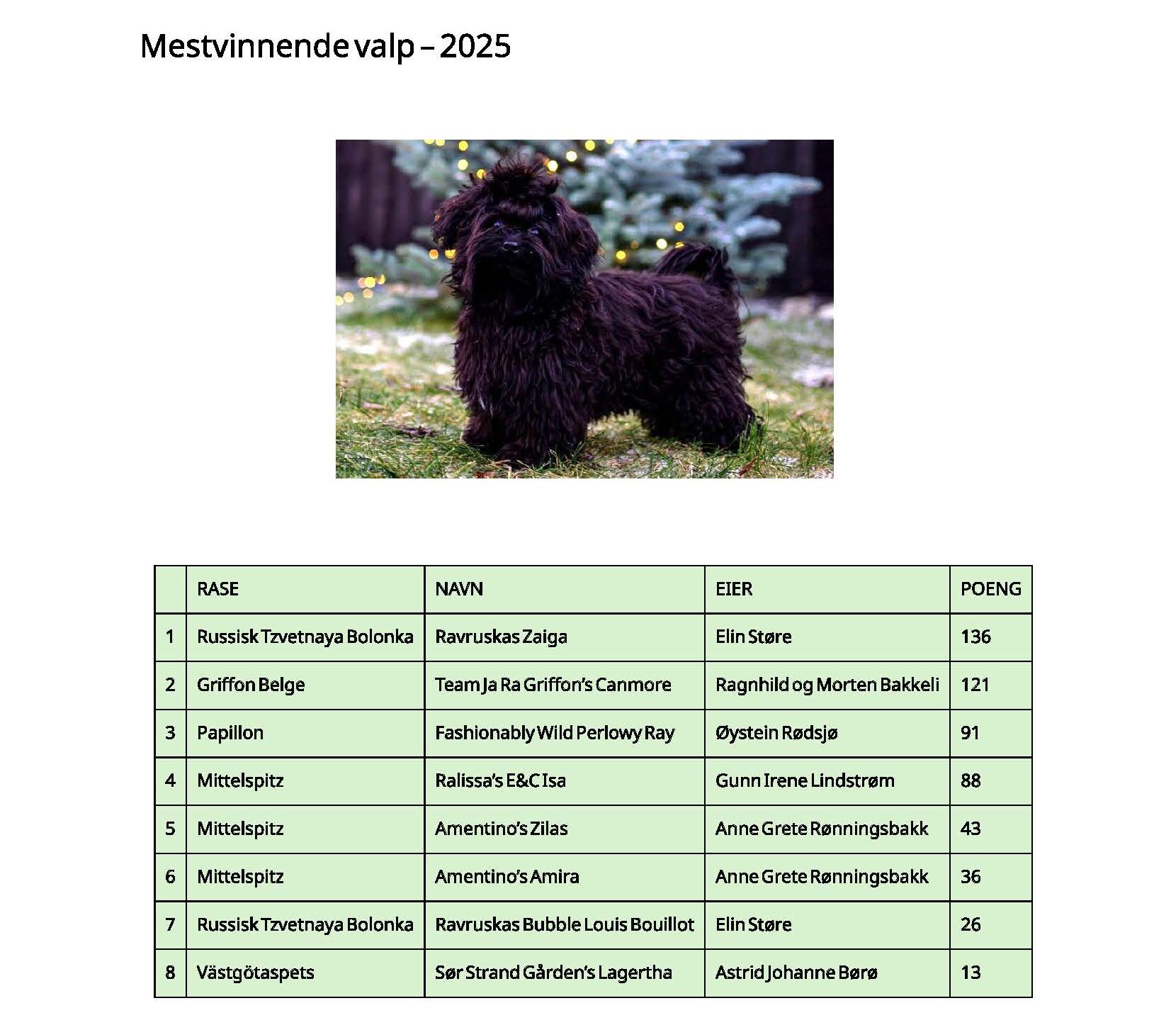 Mestvinnerlister 2025