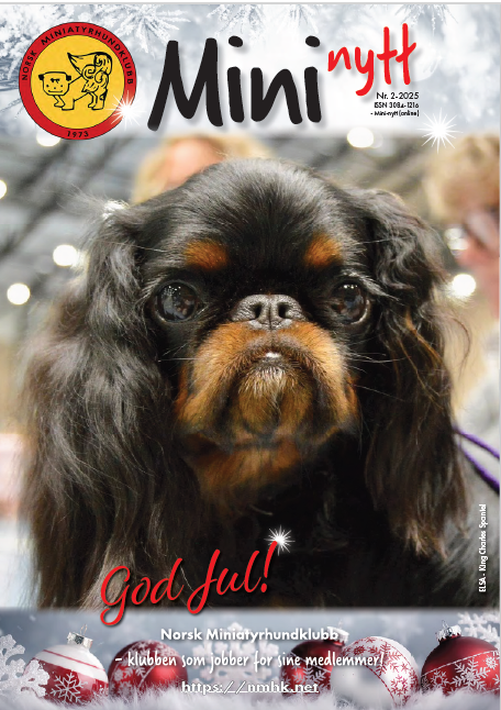 Mininytt nr. 2 – 2025